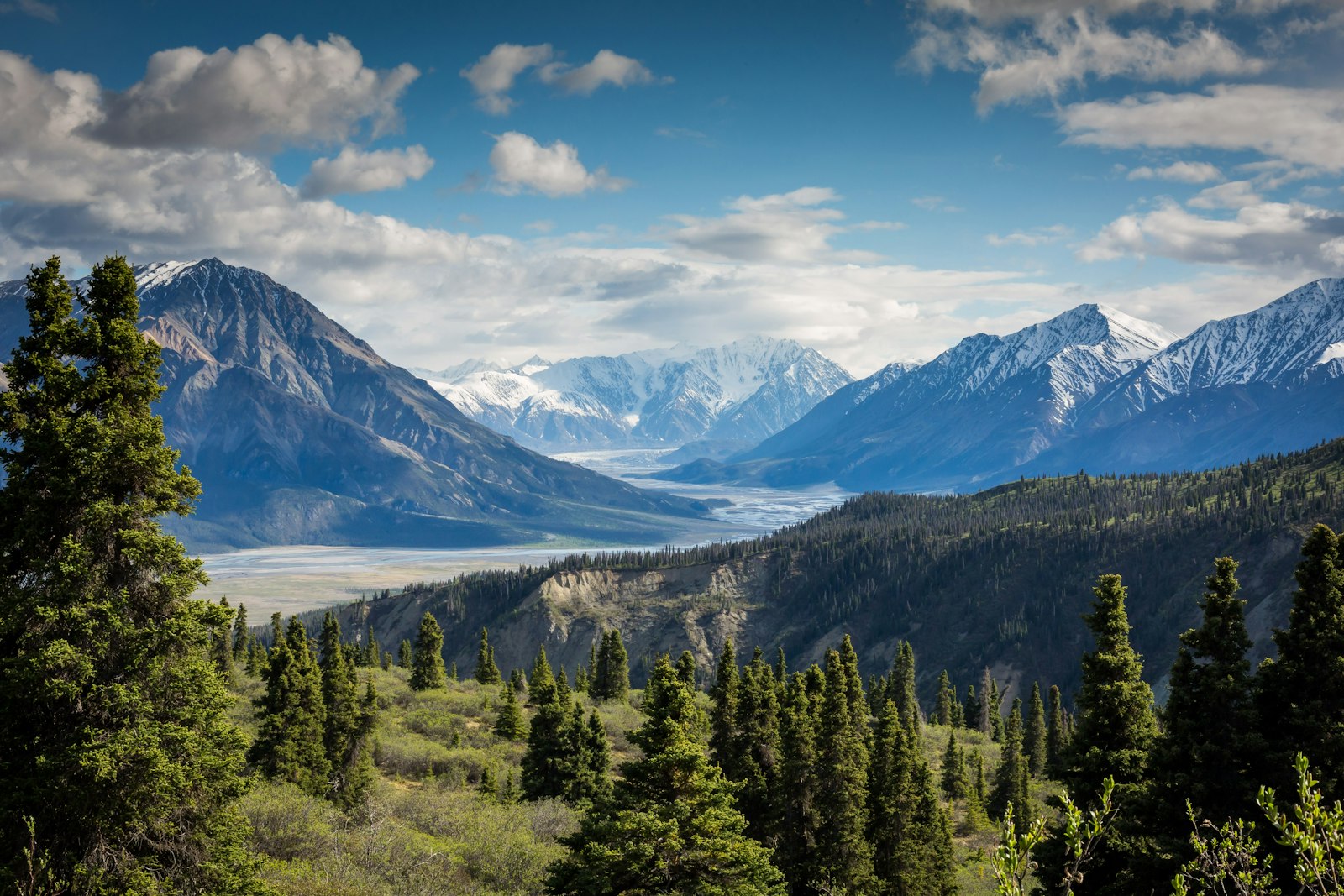 Panoramic Landscape